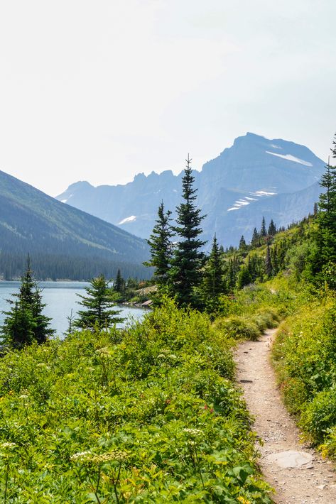 Grinnell Glacier is located in Glacier National Park. The trailhead is located in the Many Glacier area of the park, just past Swiftcurrent Lake. #glaciernationalpark #hiking #montana #trails #greenwood Grinnell Lake, Grinnell Glacier, Many Glacier Hotel, Many Glacier, Mountain Goat, The Far Side, Glacier National, Glacier National Park, Great View