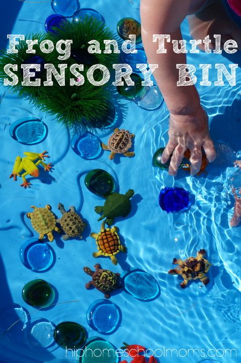 Turtle Sensory Bin, Turtle Theme Preschool Activities, Turtle Activity, Turtle Sensory Activities, Turtle Activities For Toddlers, Frog Pond Sensory Bin, Pond Life Theme, Turtle Activities, Turtle Theme