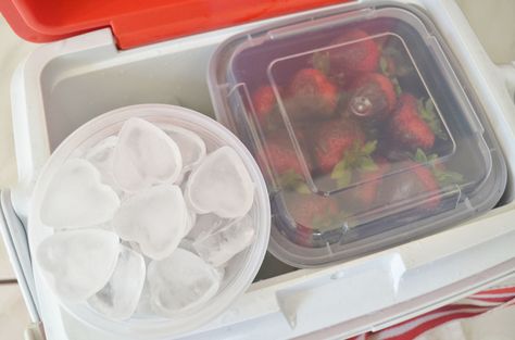 11 Stupid-Easy Cooler Hacks For A Better Beach Trip  - Delish.com Cooler Hacks, Cooler Tricks, Campground Ideas, Best Bbq Recipes, Campfire Recipes, Camping Hacks Food, Baseball Tournament, Summer Coolers, Camping Coolers