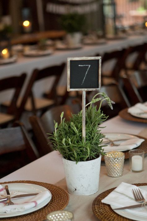 Restaurant Table Numbers, Restaurant Table Decor, Pizzeria Design, Decoration Restaurant, Restaurant Concept, Beach Wedding Favors, Santa Barbara Wedding, Restaurant Tables, Cafe Tables