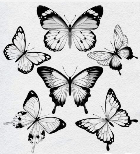 Ink Blot Butterfly, Butterfly Black And White Tattoo, Butterfly Silhouette Tattoo, Butterfly Tattoo Sketch, Gothic Butterfly Tattoo, Black And White Butterfly Tattoo, Cool Butterfly Tattoos, Butterfly Flash, Butterfly Stencils