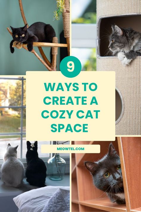 Living in a small apartment or home doesn't mean you have to compromise on creating a comfortable and inviting environment for your feline friend! Cat Space, Cozy Cat, Cat Sitter, Comfortable Home, Cat Parenting, Space Cat, Cat Sitting, Small Apartment, Social App