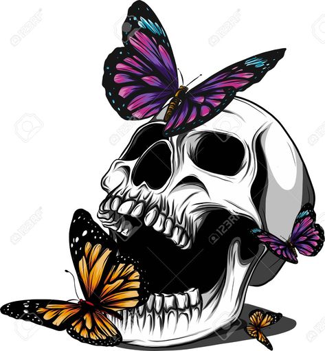 Drawing Ideas Skull, Anatomy Of Human, Skull Clipart, Pelvic Bone, Skull Butterfly, Butterfly Png, Bone Stock, Butterfly Clipart, Skull Art Drawing