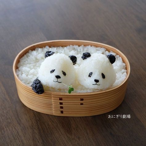 Panda Sushi, Kotak Bento, Dessert Box, Korean Cake, Dessert Boxes, Cute Food Art, Food Humor, Pretty Food, Creative Food