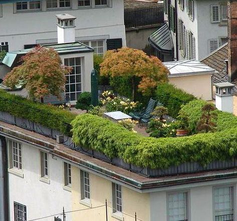 Rooftop Decor, Terrace Garden Ideas, Roof Garden Design, Green Terrace, Small Balcony Garden, Rooftop Terrace Design, Rooftop Design, Rooftop Patio, Porch Garden