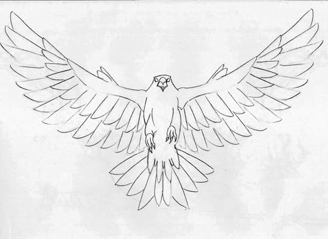 Falcon Laurent Demettre Hawk Drawing Simple, Hawk Drawing, Falcon Hawk, Drawing Simple, Hawks, Moose Art, Tattoo Ideas, Tapestry, Tattoos