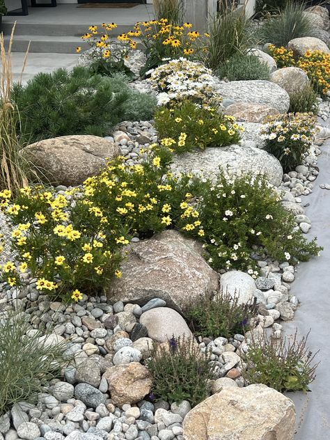 Rockery Garden Ideas, Landscaping Boulders, Boulder Garden, Rockery Garden, Xeriscape Landscaping, Australian Garden Design, Drought Tolerant Garden, Pool Landscape Design, Dry Garden