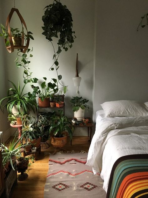 Hanging planters let you get the plant as close to natural light as possible | archdigest.com Bedroom With Lights And Plants, Lights And Plants Bedroom, Low Natural Light Bedroom, Bedroom With Low Light, Botanical Room, Plant Lights Indoor Setup Bedroom, Hanging Plant Bedroom Aesthetic, Apartment Friendly Plant Hanging, Indoor Plants Bedroom