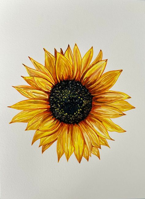 A happy Sunflower, painted in watercolours on premium acid-free, cold press paper. I love to paint sunflowers as the centres are so unique to each flower and the colour of them seems to make people smile. This is being sold as an unframed painting leaving you free to choose your own frame to suit your home decor. Each painting is signed and dated. Sunflower Art Drawing, Sunflower Rock Painting, Sunflower Painting Easy, Sunflower Drawings, Paint Sunflowers, Painted Sunflowers, Happy Sunflower, Painting Sunflowers, Paintings Of Flowers