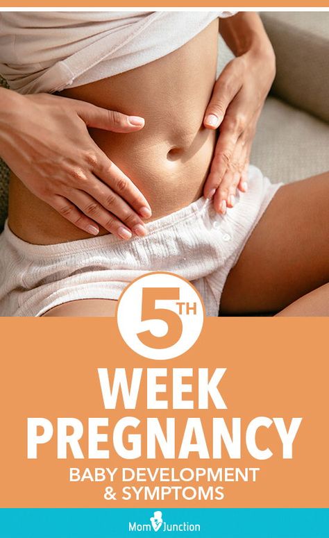 5th Week Pregnancy: Baby Development And Symptoms : Read this MomJunction post to know more about the development of your baby at five weeks, the symptoms you may experience, and tips that you need to remember at this stage. #pregnancy #pregnant #5thweekpregnant #weekbyweekpregnancy #baby #babydevelopment 5 Weeks Pregnant Symptoms, Five Weeks Pregnant, 4 Weeks Pregnant, 13 Weeks Pregnant, 5 Weeks Pregnant, Pregnancy Week, First Ultrasound, Baby Stage, Pregnancy Months