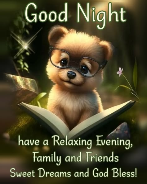 Nighty Night Quotes, Good Night Cat, Good Night Prayer Quotes, New Good Night Images, Blessed Night, Beautiful Good Night Quotes, Good Night Funny, Good Morning Sunshine Quotes, Cute Good Night