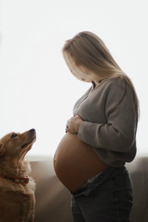 Smiling Maternity Photos, Indoor Maternity Photos With Dog, Casual Maternity Pictures With Dog, Dog Maternity Shoot Ideas, Maternity Pictures With Dog And Husband, Maternity Pictures Dog, At Home Maternity Shoot With Dog, Maternity Shoot Dog, Outdoor Maternity Photos With Dog