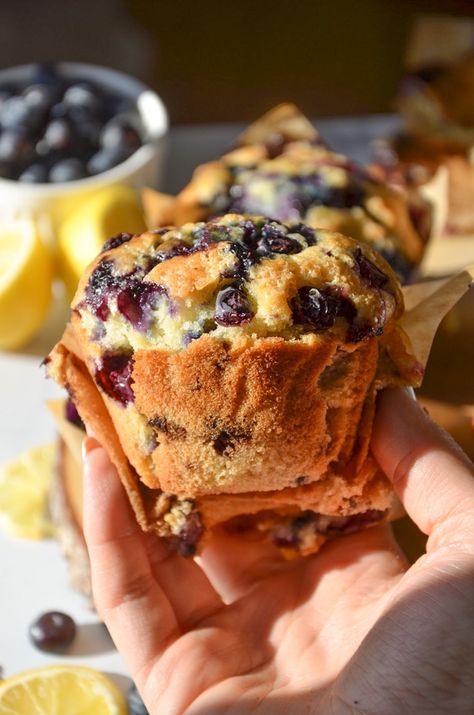 Starbucks Blueberry Muffin Recipe, Starbucks Blueberry Muffins, Smell Like A Bakery, Starbucks Muffins, Blueberry Lemon Muffins, Blueberry Yogurt Muffins, Vegan Blueberry Muffins, Blueberry Muffins Recipe, Yogurt Muffins