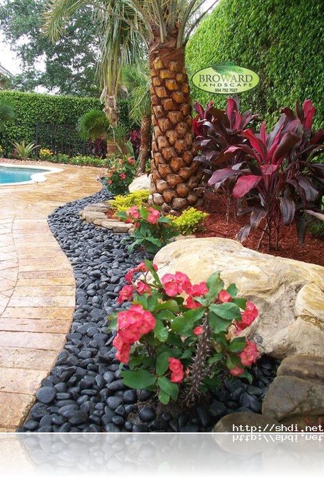 Rock Garden Ideas To Implement In Your Backyard-homesthetics (5) Poolside Landscape Ideas, Tropical Backyard Landscaping, Landscaping Decor, Tropical Landscape Design, Florida Landscaping, Tropical Backyard, Backyard Pool Landscaping, Rock Garden Landscaping, Landscape Designs