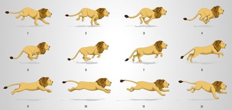 Lion run cycle animation sequence | Premium Vector #Freepik #vector #animation-sequence #walking-animation #animal-illustration #sprites Running Animation Frames, Lion Running, Running Animation, Cycle Animation, Animation Frames, Animation Sequence, Running Drawing, Running Illustration, Free Cartoon Characters