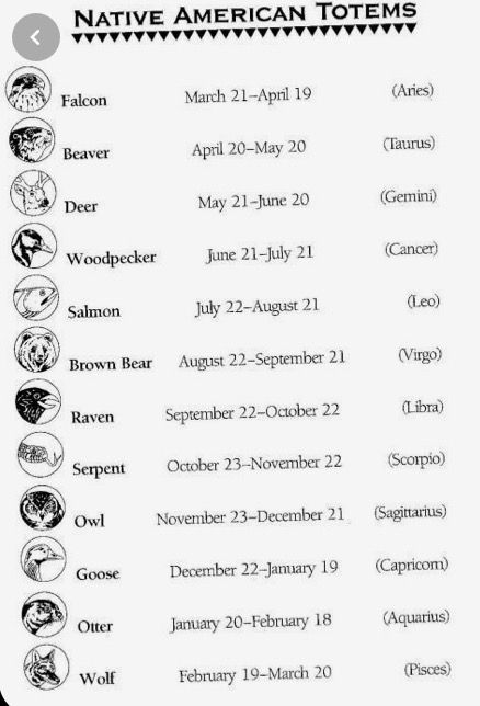 Raven Native American Zodiac, Indian Zodiac Signs, Raven Zodiac, Wolves Quotes, Native American Astrology, Ancient Zodiac, Wicca Tattoo, Native American Knowledge, Native American Zodiac