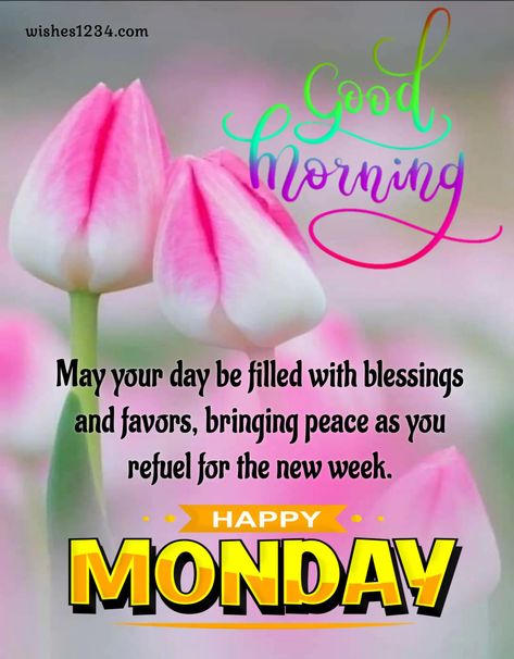 Monday Motivations and blessings to inspire your Week Sunday Quotes Good Morning, Good Morning Happy Sunday Images, Funny Sunday Memes, Monday Morning Greetings, Monday Morning Prayer, Blessed Monday, Monday Morning Blessing, Monday Quote, Monday Greetings