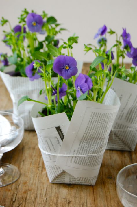 Green Shower: Potted flowers wrapped in newspaper Newspaper Wrapping, Banquet Centerpieces, Plant Centerpieces, Diy Frühling, Diy Newspaper, Purple Pansies, School Breakfast, Party Deco, Simple Centerpieces