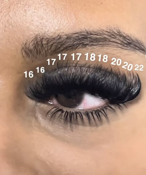 Lash Extensions Mapping Styles Mega Volume, Cluster Lash Mapping Cat Eye, Lash Map Black Women, Lash Cluster Map Cat Eye, Dramatic Lash Extensions Map, Lash Cluster Mapping Styles, Different Lash Extension Maps, Dramatic Cat Eye Lash Extensions Map, Lash Extensions Styles Black Women