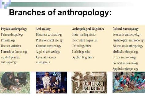 Anthropology is the study of humans, early hominids and primates. Physical or biological anthropologists study the remains of human beings and hominids to investigate human disease, diet, genetics and lifestyle. Anthropology study human language, culture, societies, biological and material remains (live science, 2014) Books On Anthropology, Anthropologist Career, Anthropology Student Aesthetic, Anthropology Major Aesthetic, Anthropology Pictures, Cultural Anthropology Aesthetic, Environmental Anthropology, Anthropologist Aesthetic, Archeology Student