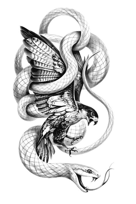 Owl Tattoo Drawings, Arm Tattoos Drawing, Dove Tattoo Design, Egypt Tattoo, Full Sleeve Tattoo Design, Tattoo Outline Drawing, Snake Tattoo Design, Arte Peculiar, Eagle Tattoos