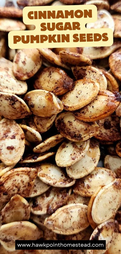 These cinnamon sugar roasted pumpkin seeds are a different sweet take on the yummy snack of pumpkin seeds. Mix the taste of yummy cinnamon sugar toast with the crunchy pumpkin seeds and you get a satisfying fall snack!

I love roasting the pumpkin seeds with different spices and seasonings. These sweet pumpkin seeds are a favorite!

Making roasted pumpkin seeds is easy and an activity kids will enjoy. Plus roasting the pumpkin seeds gives them a great crunchy healthy snack that they will love! Pumkin Seeds Recipes, Easy Pumpkin Seeds Recipe Roasted, Pumpkin Seed Recipes Sweet, Pumpkin Seed Recipes Cinnamon, Cinnamon Sugar Pumpkin Seeds, Easy Pumpkin Seeds, Seasoned Pumpkin Seeds, Flavored Pumpkin Seeds, Roasted Pumpkin Seeds Recipe