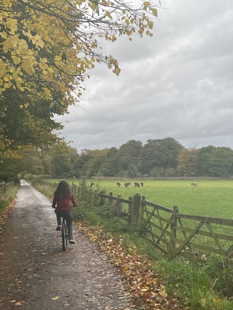 Bike, Park, Field, bike ride, Autumn, rainy day Rainy Countryside Aesthetic, Autumn Bike Ride, Fall Bike Ride Aesthetic, English Autumn Aesthetic, Rainy Countryside, Rainy Field, Fall Bike Ride, Fall Cycling, Romanticize Fall