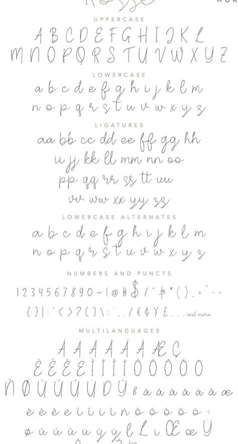 Favorite font choices that will really help your every design project looks better. See more ideas about fonts, font bundles, premium fonts. Handwriting Font Practice, Cute Cursive Font Alphabet, Dainty Fonts Alphabet, Styles Of Handwriting, Beautiful Lettering Alphabet Calligraphy, Casual Cursive Handwriting, Modern Calligraphy Font, Modern Cursive Handwriting, Cursive Handwriting Fonts Alphabet