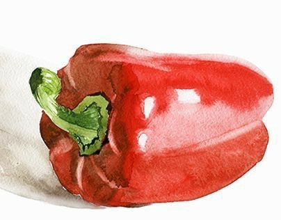 Bell Pepper Watercolor, Tomato Clipart, Watercolor Tomatoes, Loose Watercolor Paintings, Vegetable Painting, Food Art Painting, Sketch Note, Vegetable Illustration, Watercolor Art Paintings