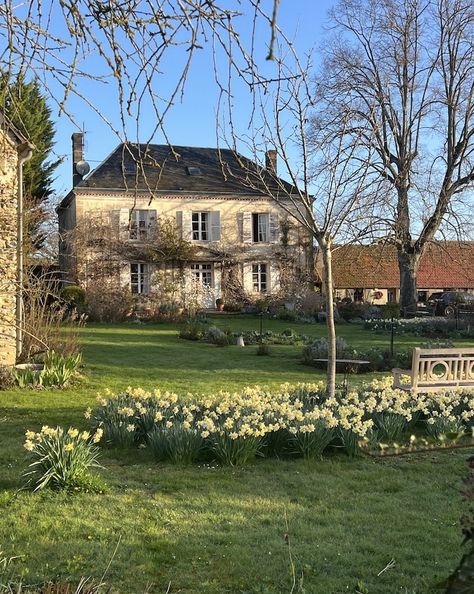 Daffodils Garden, Houses Country, French Cottage Garden, French Garden Design, English Country Cottages, My French Country Home, Country Cottages, French Country Home, French Country Garden