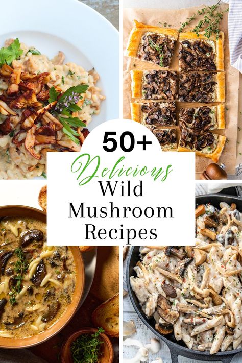 50 Best Wild Mushroom Recipes After A Day Of Foraging - West Coast Kitchen Garden Chef Sampler Mushroom Recipes, Coral Mushroom Recipes, Coral Tooth Mushroom Recipes, Exotic Mushroom Recipes, Wild Mushrooms Recipes, Brown Beech Mushrooms Recipe, Gourmet Mushroom Recipes, Mixed Mushroom Recipes, Beech Mushroom Recipe