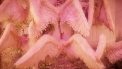 Aesthetic Angel Wings, Love Dive Mv, Angel Coquette, Coquette Pink Aesthetic, Ive Love Dive, Aesthetic Angel, Love Dive, In The Pale Moonlight, Dazed Korea