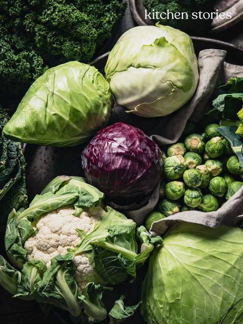 The Ultimate Guide to Cabbage: 11 Varieties and How to Use Them Cabbage Varieties, Types Of Cabbage, Vegetable Salads, Fermenting Weights, Cabbage Seeds, Vegetable Salad Recipes, Healthy Probiotics, Sauerkraut Recipes, Garden Vegetable