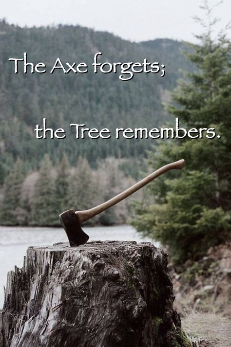 The axe forgets; the tree remembers. African proverb. Log Building, Bear Cabin, Building Tools, Boho Beautiful, Country Diy, Photography Studios, Mountain Life, Manama, Fall Inspo