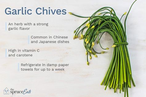 What Are Garlic Chives and How Are They Used? Garlic Chives Recipes, Chinese Garlic, Chives Recipe, Chinese Chives, How To Store Garlic, Container Herb Garden, Meat Marinade, Green Garlic, Garlic Scapes