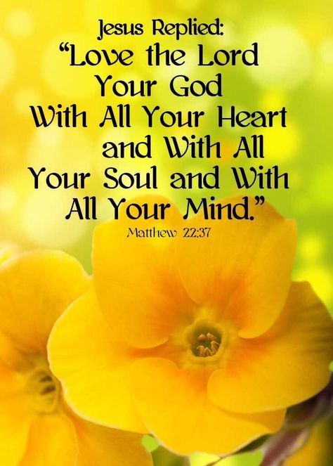 Amen, in Jesus name I accept my blessings of desires in abundance of immeasurable proportion, I accept salvation by confessing with my mouth that you my Lord Jesus, King of kings are my Lord and Savior, my God, because of you father everything I speak comes to fruition commanded by the Holy Ghost, through the everlasting love of Jesus Christ, embraced in Gods mercy and grace. Amen...  Lisa Christiansen, child of the one true king ΙΧΘΥΣ Matthew 22 37, Motivation Positive, Biblical Quotes, Favorite Bible Verses, Love The Lord, Religious Quotes, Scripture Quotes, Verse Quotes, Christian Inspiration