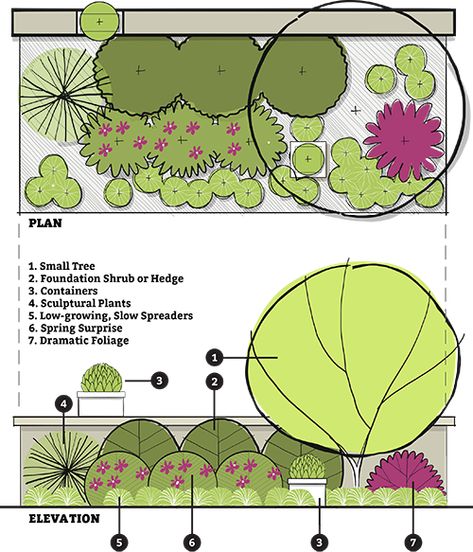 Our Top 10 Gardening Tips for Growing Confidently Structured Landscape Design, Privacy Garden Plan, Foundation Planting Plans, Planting Plan Landscape Architecture, Landscape Layout Plan, Garden Planting Layout, Planting Design Plan, Fence Planting, California Garden Design