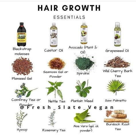 Herbs For Alopecia, Nettle Tea, Herbs For Hair Growth, Herbs For Hair, Healthy Natural Hair Growth, 4b Hair, Natural Hair Growth Tips, Magia Das Ervas, Hair Remedies For Growth