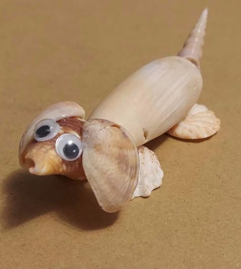 Shell Animals Diy, Seashell Turtle Craft, Seashell Animal Crafts, Conch Shell Crafts Diy Ideas, Limpet Shell Art, Easy Seashell Crafts, Sanddollar Crafts Diy Ideas, Cockle Shell Crafts, Seashells Crafts Ideas