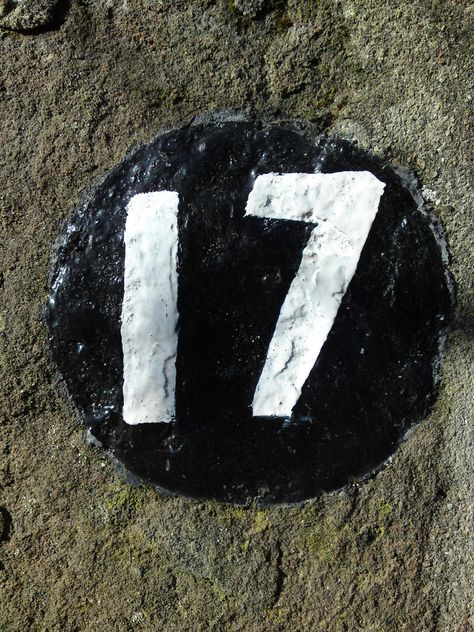 Typical Dundee house number Apparently the black and white is a Calvinist aesthetic. Number 17 Wallpaper, Number Icons, Hand Lettering For Beginners, Fleur Orange, Instagram Theme Feed, Orange Beach, Birthday Poster, Instagram Theme, How Old