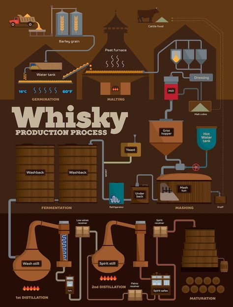 Whisky distillery production process infographics Whisky Regal, Whisky Distillery, Barley Grain, Dead Mouse, Simple Infographic, Whisky Drinks, Moonshine Recipes, Whiskey Tasting, Whisky Tasting