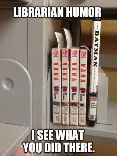 I actually laughed out loud at this. Librarian Humor, Library Humor, Ace Hood, Castle Beckett, Abc Family, Dc Memes, Funny Bunnies, Memes Humor, Book Humor