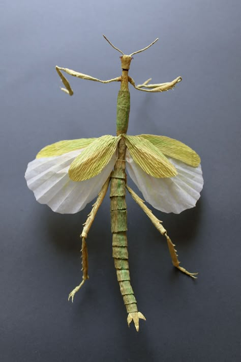 Life-like paper insects painstakingly made from fine crepe paper | Creative Boom Crepe Paper Butterfly, Paper Insects Diy, Paper Mache Bugs, Make Paper Butterflies, Paper Mache Insects, Crepe Paper Leaves, Paper Mache Beetle, Paper Mache Venus Fly Trap, Cardboard Insects Sculpture