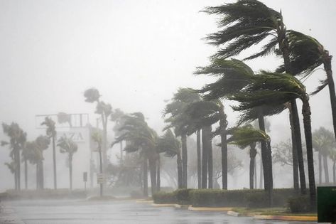 How bad is this year’s hurricane season? 2023’s unusual tropical storms, explained. - Vox Blowing In The Wind, Khalil Gibran, Tropical Storm, Insurance Policy, Severe Weather, Previous Year, Pacific Ocean, Travel Insurance, Months In A Year