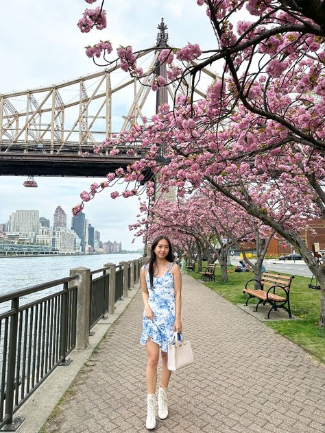 cherry blossoms nyc roosevelt island sakura spring blue floral dress white boots kate spade rihoas petite asian girl kfashion kstyle feminine girly Nyc Places, Floral Dress White, Roosevelt Island, Blue Floral Dress, White Floral Dress, Quiet Luxury, Floral Blue Dress, White Boots, Nyc Fashion