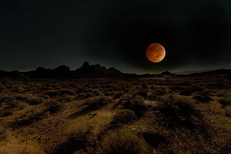 Desert Aesthetic, Nevada Desert, Desert Photography, Southern Gothic, Blood Moon, Red Barn, Old West, Dark Aesthetic, Cinematography