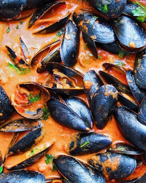 Mussels Recipe Chorizo, Mussels And Chorizo Recipe, Chorizo Mussels Recipe, Mussels With Chorizo Recipe, Black Mussels Recipes, Mussels And Clams Recipe, Cajun Mussels, Homemade Pasta With Kitchenaid, Chorizo Mussels