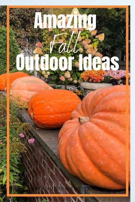 Fall Displays Outdoor Front Yard, Fall Yard Displays Outdoor, Pumpkin Porch Display, Fall Yard Ideas, Pumpkin Displays Outside, Front Porch Pumpkins Display, Outdoor Pumpkin Display, Fall Displays Outdoor, Pumpkin Display Ideas