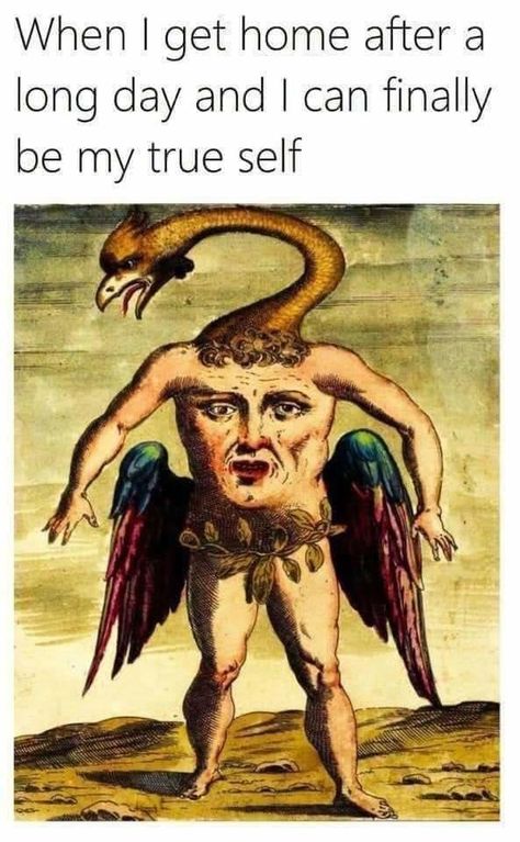 Funny Medieval, Medieval Memes, Art History Memes, Classic Memes, Historical Humor, Funny Art History, Classical Art Memes, Literature Humor, History Jokes