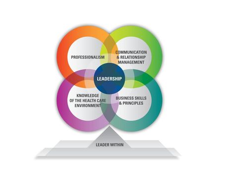 AONL Nurse Leader Core Competencies | AONL Nurse Games, Leadership Examples, Leadership Competencies, Nurse Leader, Nursing Leadership, Leadership Conference, Performance Evaluation, Workforce Development, Nursing Research